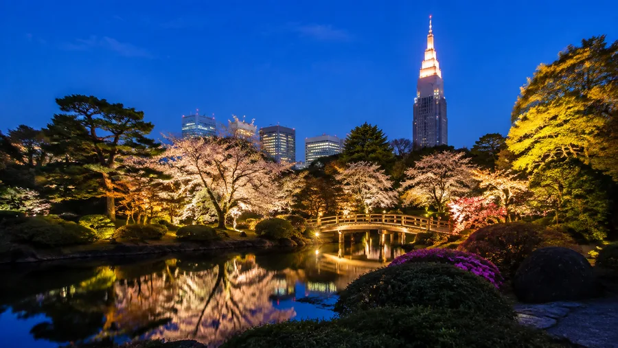 Shinjuku Gyoen Night Illuminations & Events