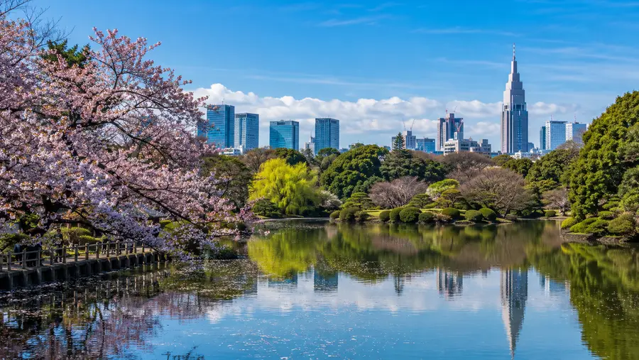 Shinjuku Gyoen Through the Seasons